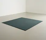 Cactus Mat 1485M-L31