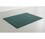 Cactus Mat 1485M-L36
