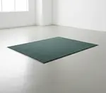 Cactus Mat 1485M-L46