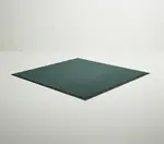 Cactus Mat 1485M-L48