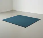 Cactus Mat 1485M-U35