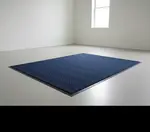 Cactus Mat 1487M-U31