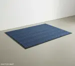 Cactus Mat 1487M-U35