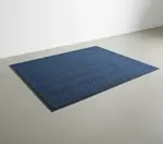 Cactus Mat 1487M-U48