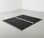 Cactus Mat 2500-RC36