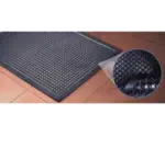 Cactus Mat 2502-1824