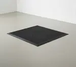 Cactus Mat 2502-2436