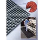 Cactus Mat 2523-R35