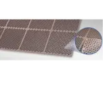 Cactus Mat 2535-B36