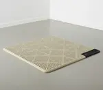 Cactus Mat 2554-C