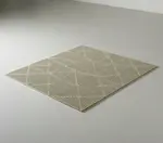 Cactus Mat 2554-T