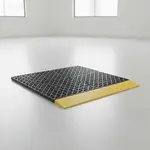 Cactus Mat 2557CR-COLOR