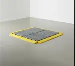 Cactus Mat 2557ER-COLOR