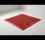 Cactus Mat 4420-REWB