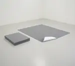 Cactus Mat 5051-E1836