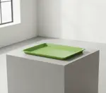 Cambro 1216D113