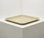 Cambro 1219D214
