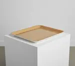 Cambro 1520D307