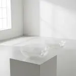 Cambro PSB15176-SplitCase