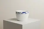 Cameo 255-354