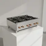 Copper Beech CBHP24-4