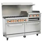 Copper Beech CBR-60-RG24