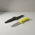 Dexter P10885