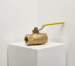 Dormont Manufacturing 050FV