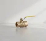 Dormont Manufacturing 100FV