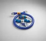 Dormont Manufacturing 16100KITCF2S60