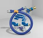 Dormont Manufacturing 16100KITCF2S72PS