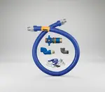 Dormont Manufacturing 16100KITCFS60