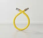 Dormont Manufacturing 16100NPFS60