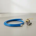 Dormont Manufacturing 1650BPV36BXFT