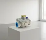 Dormont Manufacturing R48P32-0512-10