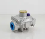 Dormont Manufacturing RV47CL-33