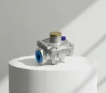 Dormont Manufacturing RV47LLP-22