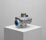 Dormont Manufacturing RV81LNG-72