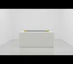 Dormont Manufacturing W25BP48