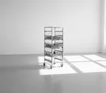 Eagle Group OUR-2008-6A