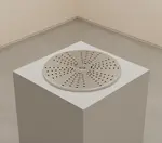 Electrolux Professional 650148 Grating Disc for Parmesan and Chocolate