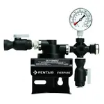 Everpure EV927241
