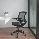 Flash Furniture BL-8801X-BK-GG