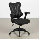 Flash Furniture BL-ZP-806-BK-GG