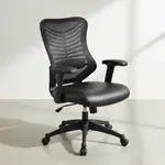 Flash Furniture BL-ZP-806-BK-LEA-GG