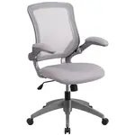 Flash Furniture BL-ZP-8805-GY-GG