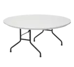 Forbes Industries PT60DI-PL