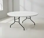 Forbes Industries PT60DI-PL