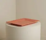 G.E.T. Enterprises BUDS13TG