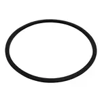 G.E.T. Enterprises CA-009RING